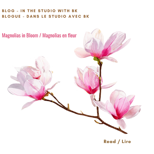 Magnolia branch, watercolour by Canadian Artist Brigitte Klassen