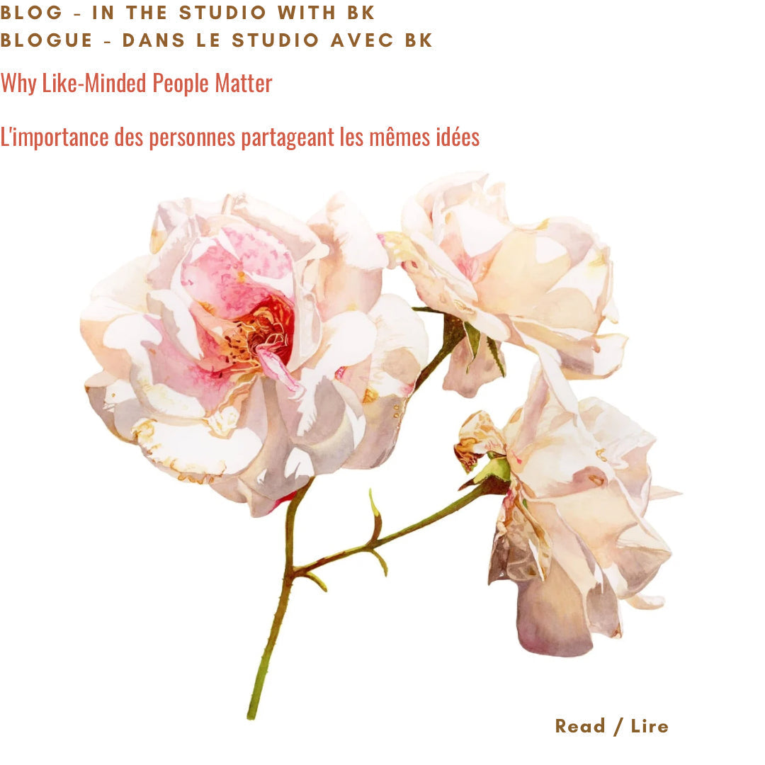 Soft watercolour painting of delicate white and blush pink roses with golden centers on white background by Canadian watercolour artist Brigitte Klassen