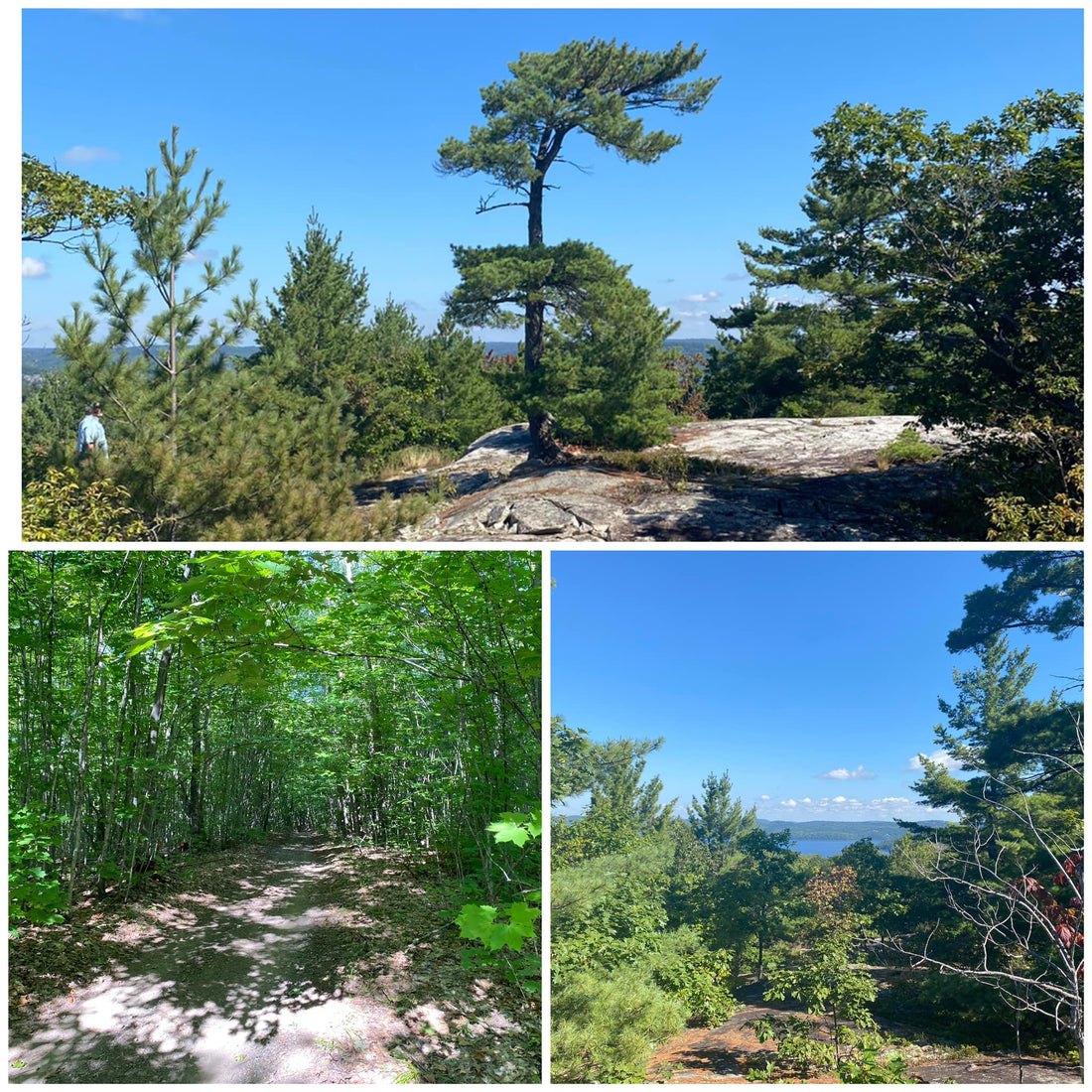 Photo collage of scenic Northern Ontario summer landscapes including Rock Lake Lookout with forests, lakes, and hiking trails