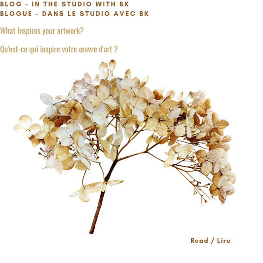 Delicate watercolour painting of dried hydrangea flowers in cream and golden tones on white background by Canadian watercolour artist Brigitte Klassen