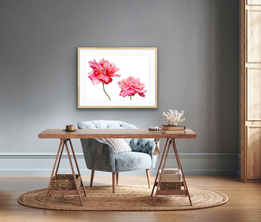 Sweet Blush fine art giclée print by Brigitte Klassen framed on a wall in a modern interior