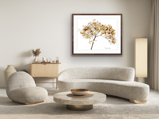 Fleeting Fine Art Print (Giclée)