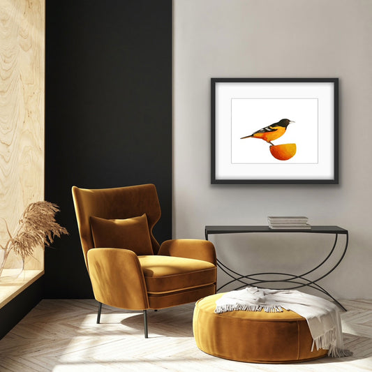 Oriole, Limited Edition Giclée Fine Art Print