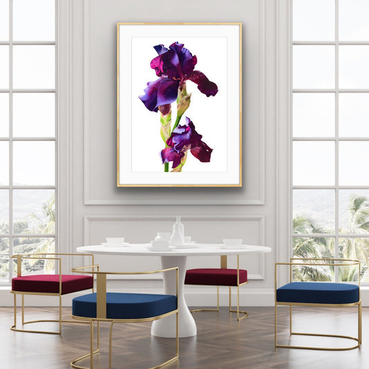 Queen Fine Art Print (Giclée)