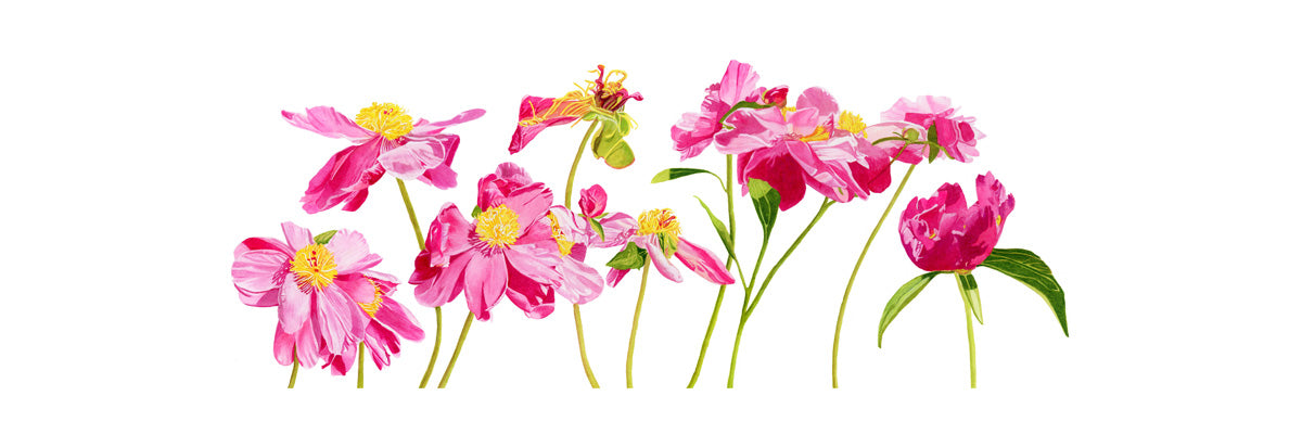 Load video: I must have flowers, always and always!