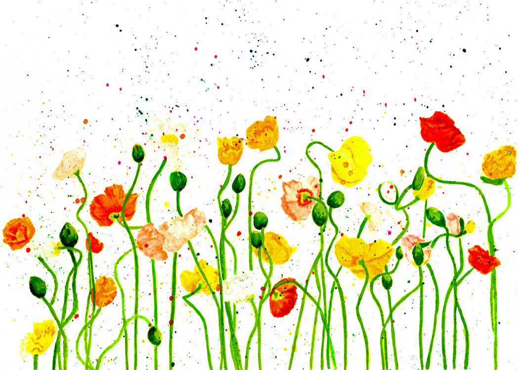 Colourful poppies by Canadian Watercolour Artist Brigitte Klassen