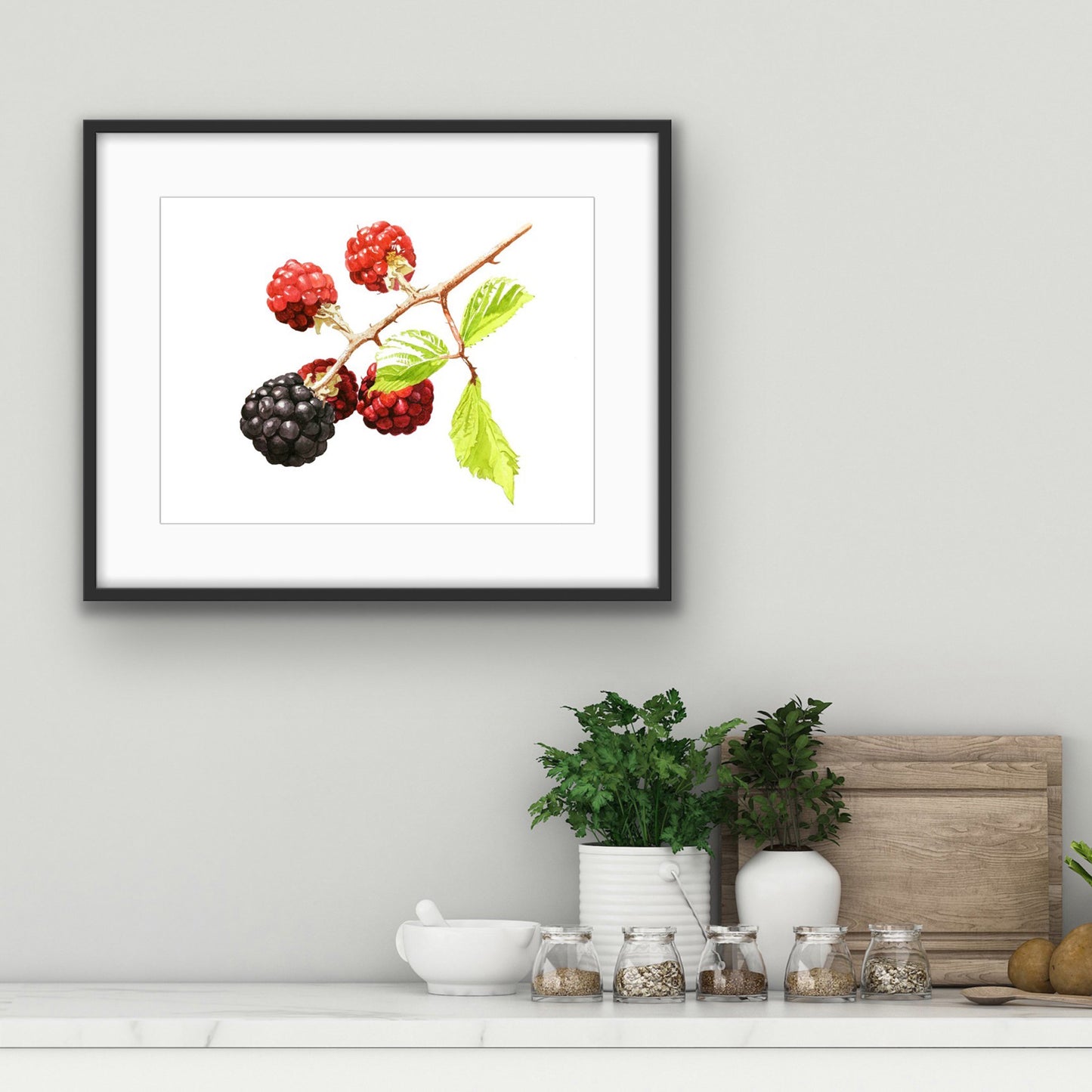 Blackberries, Fine Art Print