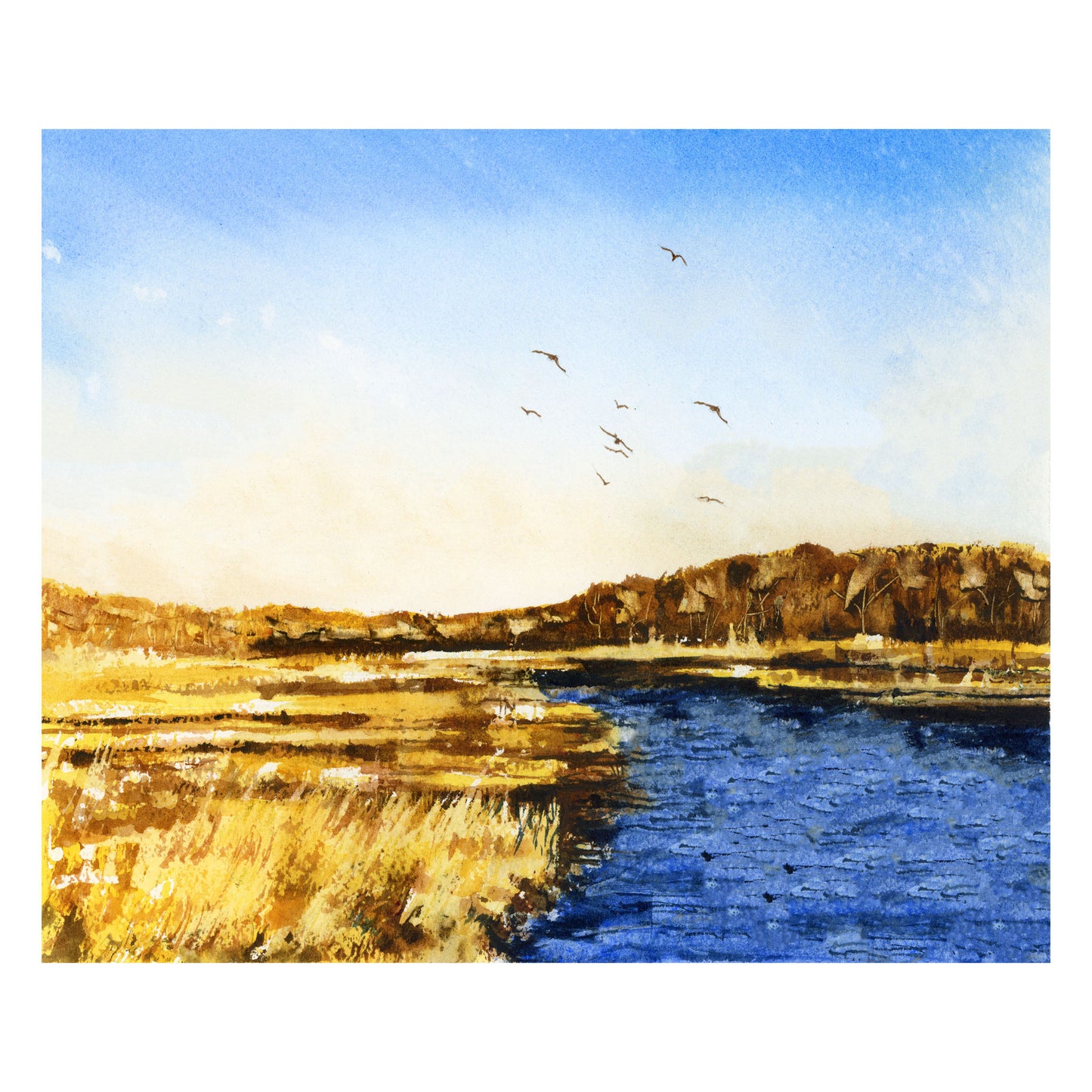 Fall Marsh, Fine Art Print