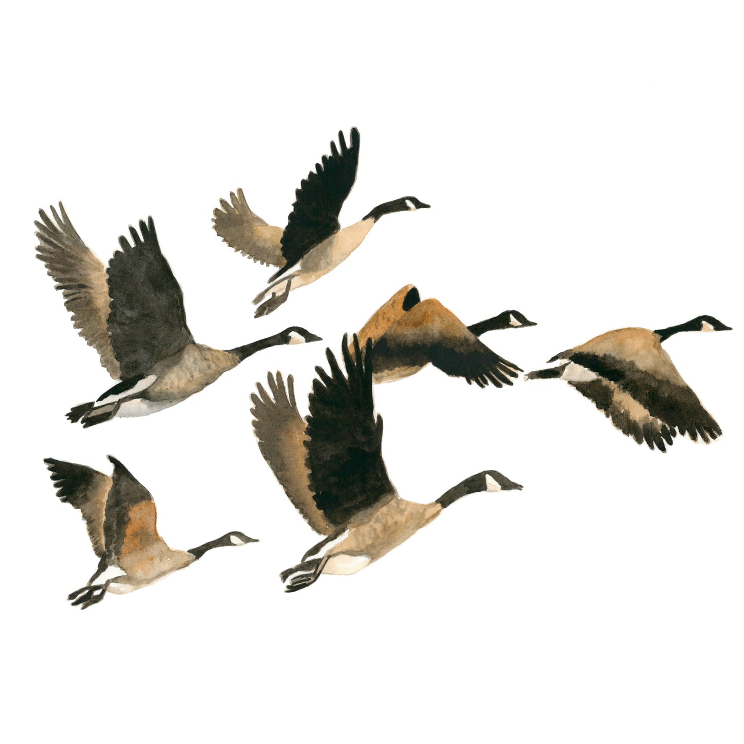 Geese heading south, Fine Art Print
