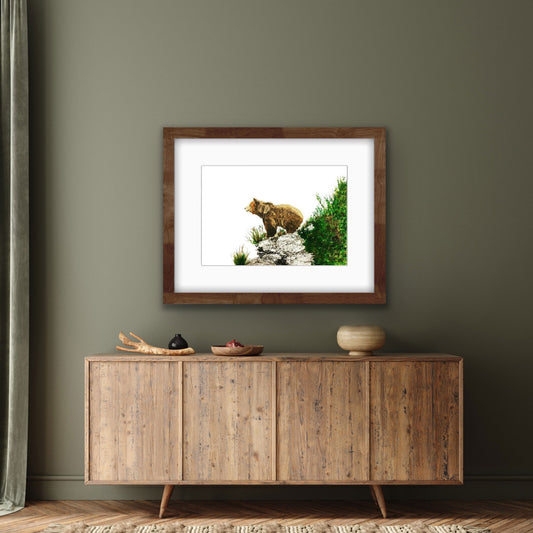 Grizzly Bear, Fine Art Print