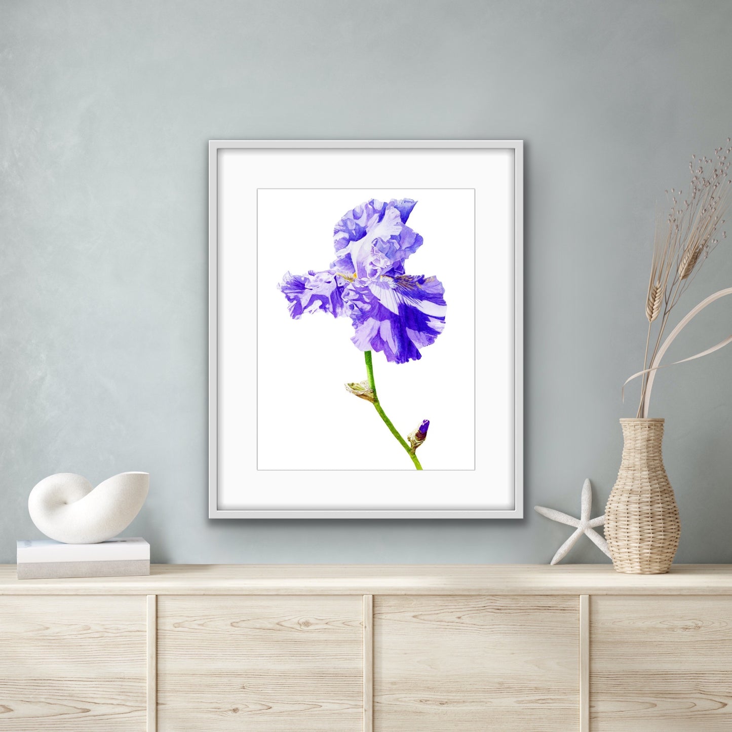 Blue Iris, Fine Art Print