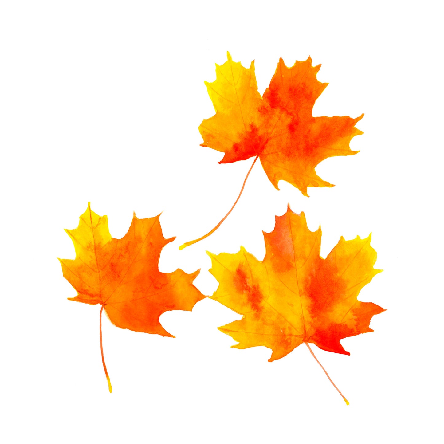 Trois feuilles d'automne, Tirage d'art