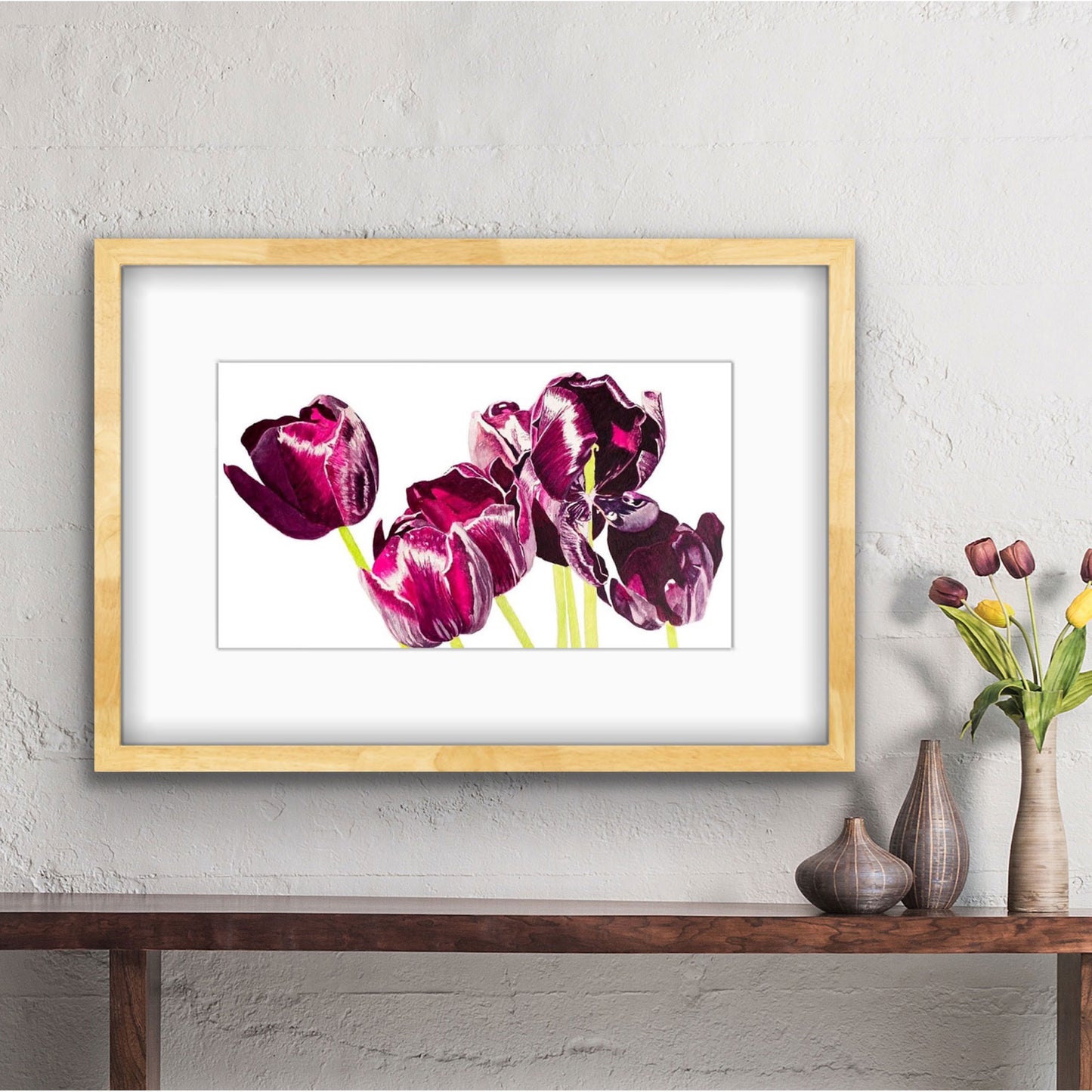 Tulipa Queen of Night, Fine Art Print