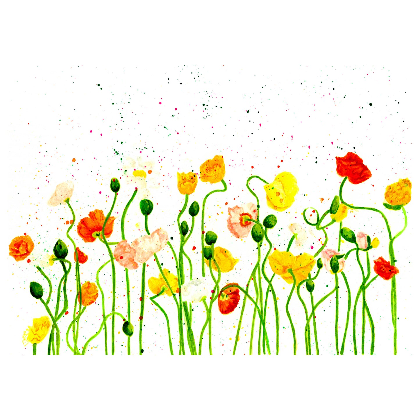 Whimsical Poppies, Fine Art Print