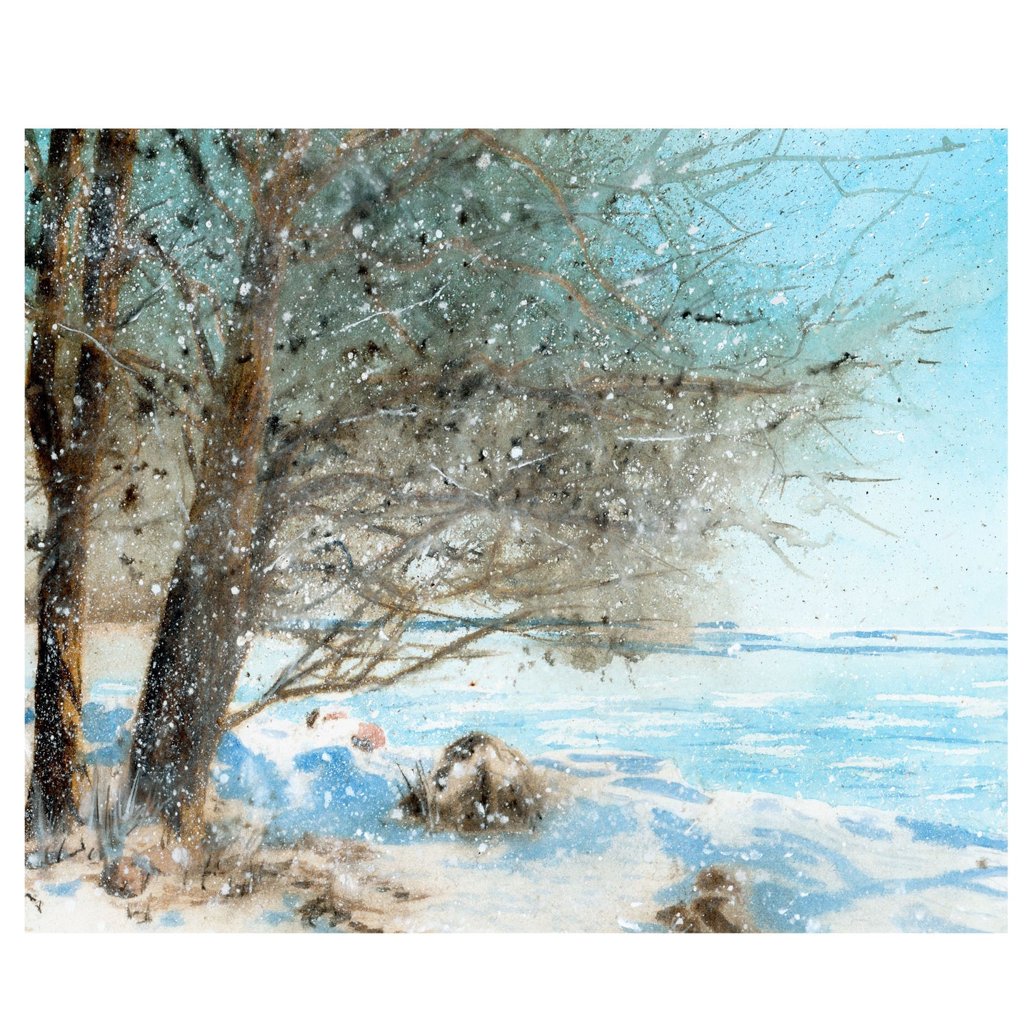 Windswept Winter, Fine Art Print